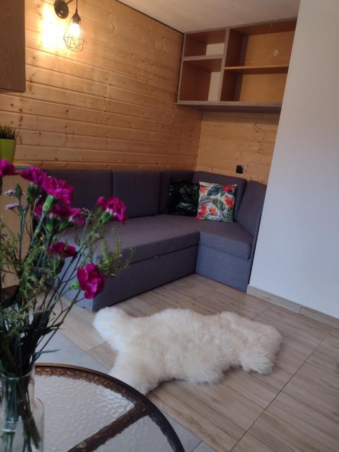 Villa Solina Zawóz 외부 사진